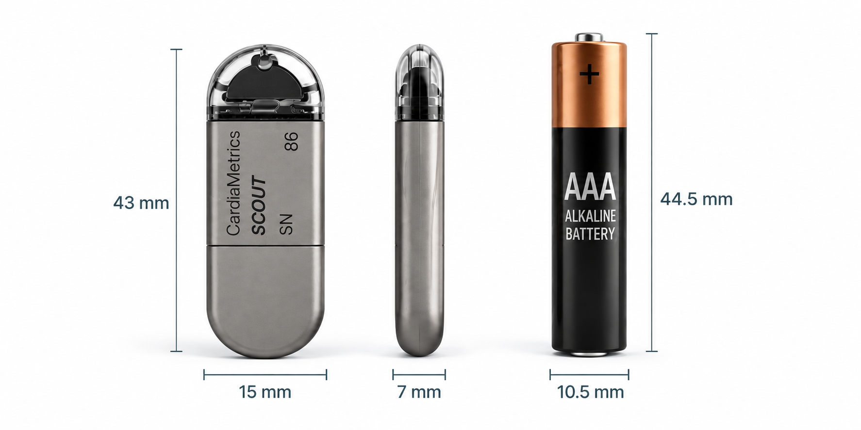 CardiaMetrics SCOUT implant compared with a AAA battery. SCOUT measures up to 43 by 15 by 7 millimeters, while the AAA battery is 44.5 millimeters long.